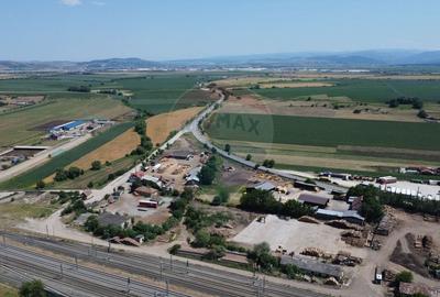 Teren Construcții intravilan de 10000 mp, în Vințu de Jos - 5