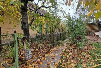 De vanzare casa Carani + teren 2085 mp- 697 - 1