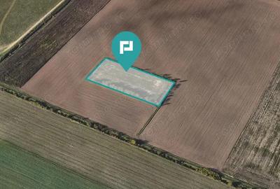 Oportunitate Unica de Investi?ie! - 3