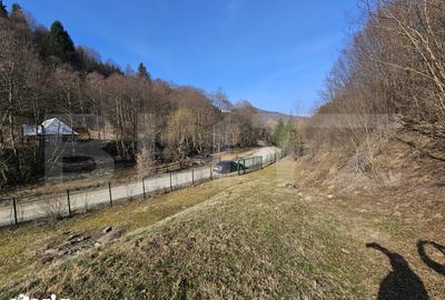 Casă cu 6 camere cu Teren 4159 Mp în Telciu - 7