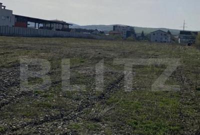Ultima parcela disponibila 10.600 mp pentru dezvoltare - 1
