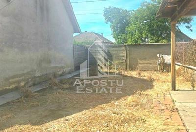 Casa cu teren in localitatea Simand - 14