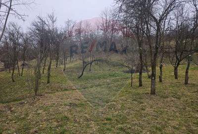 Casă cu 5 camere cu Teren 1958 Mp în Est - 11