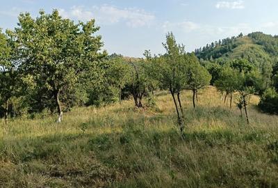 Spațiu comercial, în Luncani - 4