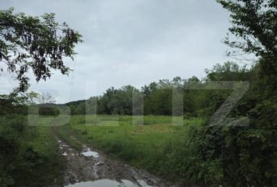 Teren Intravilan de vanzare, in Exclusivitate, Fara Comis - 5