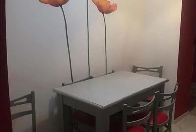 Garsonieră semidecomandată în Nerva Traian - 1