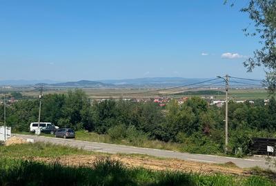 Teren 500 mp , toate utilitatile, asfalt - 6
