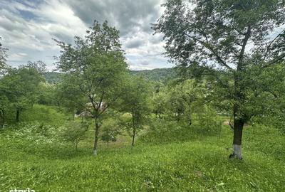 Spațiu comercial, în Telega - 4