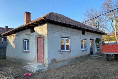 Casă cu Teren 2300 Mp în Daneți - 1