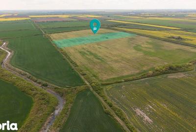 Teren de 44700 mp, în Vest - 5