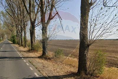 Teren de 79000 mp, în Dascălu - 2