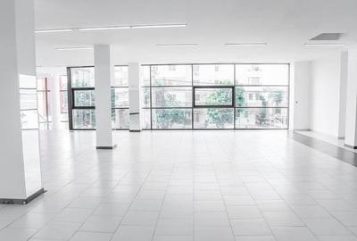 Delfinariu - bd. Mamaia, spatiu comercial , 325 mp. - 19