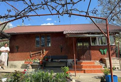 Casă cu 4 camere cu Teren 4000 Mp în Valea Popii (Mihăești) - 10