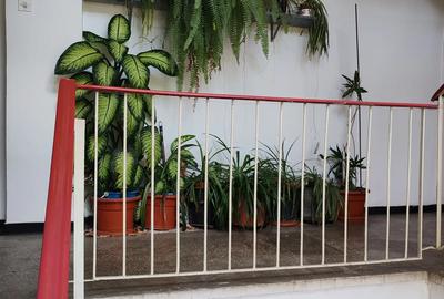 PROPRIETAR Medicina Universitate Politehnica Apartament cu 2 camere - 2