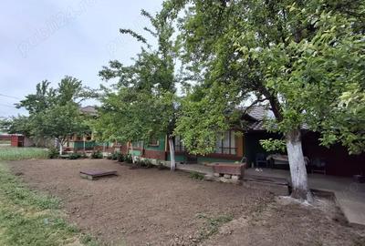 Casă cu 5 camere în Suhaia - 3