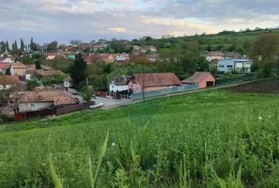 Teren de 2983 mp, în Târnăveni - 3