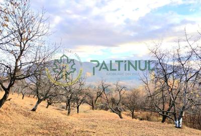 Teren 1960  mp Sibiu,  Cetatea Cisnadioara - 3