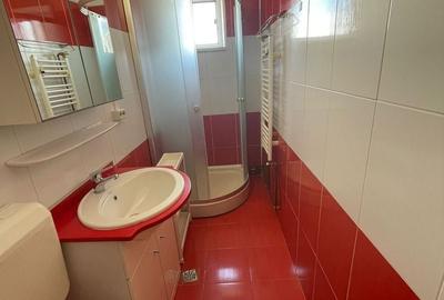 Apartament cu 2 camere nedecomandat, mobilat în Șagului - 6