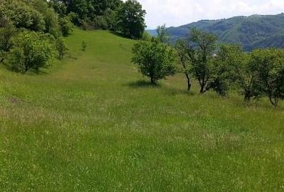 Casă individuală cu 3 camere cu Teren 15554 Mp în Central - 9