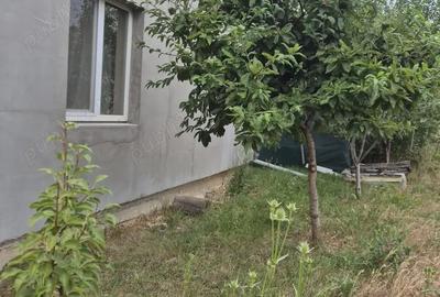 Casă cu 3 camere în Sânmartin - 1