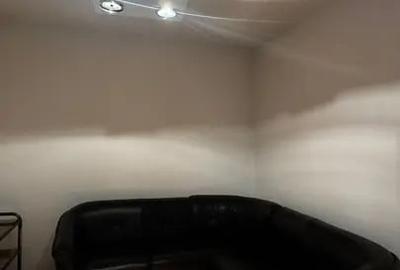 Casa Parcul Carol 570 MP Garaj Metrou Unirii Sau Tineretului 10 Min - 2