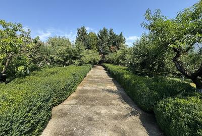 Izvorani - Snagov - 3