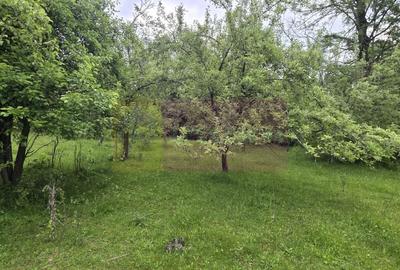 Teren Construcții intravilan de 4288 mp, în Exterior Vest - 4