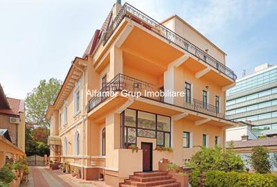 Vila 9 camere Cotroceni- Parcul Operei - 6