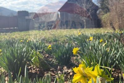 Casă cu 3 camere în Valea Cufundoasă - 7