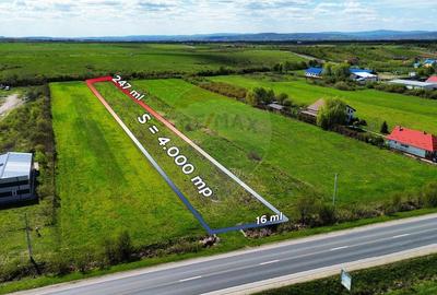 Teren Construcții intravilan de 4000 mp, în Satulung - 1