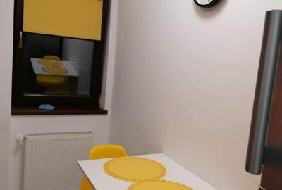 INCHIRIERE APARTAMENT 2 CAMERA PENTRU O FAMILIE INCHIRIERE APARTAMENT 2 CAMERA PENTRU O FAMILIE - 9