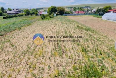 Casa traditionala Bodesti - 4