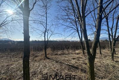 Teren agricol intravilan de 60000 mp, în Bartolomeu - 2