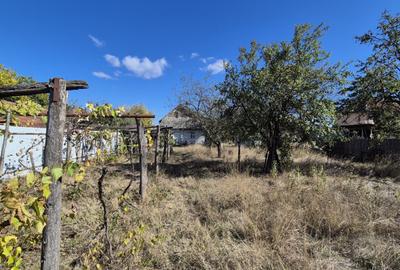 Casa in Tg.Jiu, str. Ghiocelului cartier Primaverii Casa in Tg.Jiu, str. Ghiocelului cartier Primaverii - 4