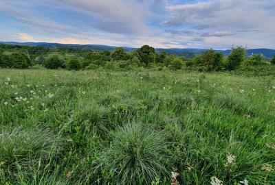 Teren de 8700 mp, în Calea Caransebeșului - 6