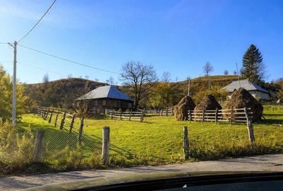 Casă cu Teren 4813 Mp în Lunca - 1