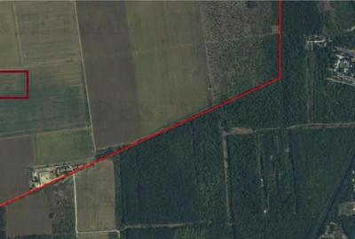 TEREN EXTRAVILAN,PADUREA COMOROVA,NEPTUN - 3