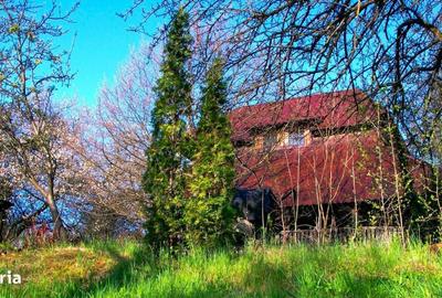 Spațiu comercial, în Cheia - 6