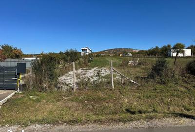 Teren de 3000 mp, în Sânmartin - 2