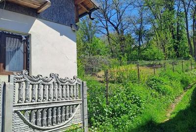 Casă cu 5 camere cu Teren 530 Mp în Davidești - 18