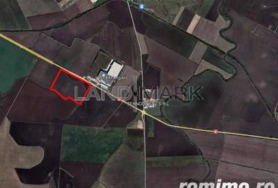 Teren Industrial cu PUZ de vanzare pe Calea Torontalului - 4