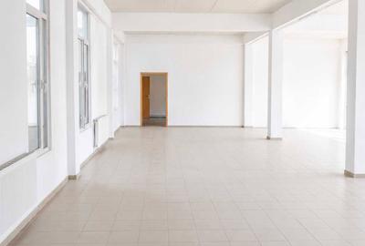 Spațiu comercial, de 663 mp, în Mehala - 2