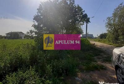 Teren de 5000 mp, în Copăceni - 9