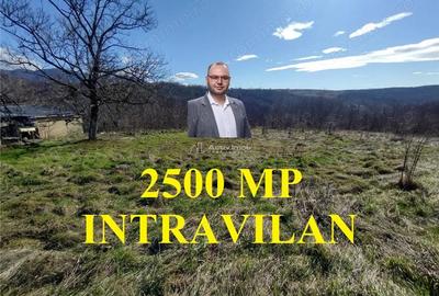 Teren de 2500 mp, în Vest - 12