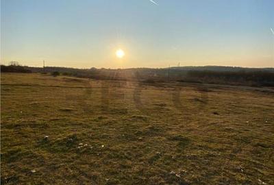 RECO Teren intravilan in Saldabagiu De Munte 2000mp - 3