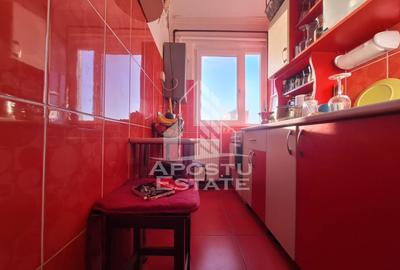 Apartament cu 2 camere semidecomandat, mobilat în Aurel Vlaicu - 3