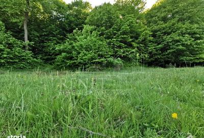 Spațiu comercial, în Bascov - 6