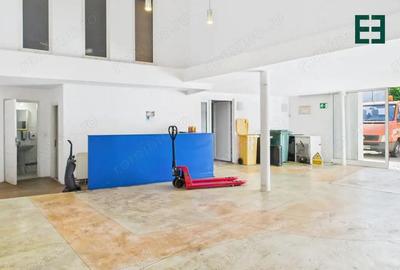 Spațiu comercial, de 450 mp, în Elisabetin - 1
