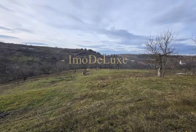 Teren intravilan, 6000mp, priveliste, comuna Baciu, zona Suceagu - 2