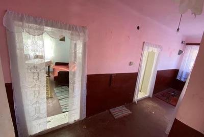 Casă individuală cu 2 camere cu Teren 2000 Mp în Măgești - 3